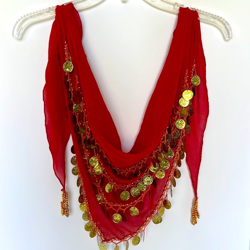 Belly Dancer Belt Skirt Scarf with Dangling Coins